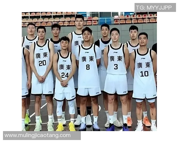 任骏飞领衔出战全明星赛展现篮球风采助力球队争夺总冠军荣耀